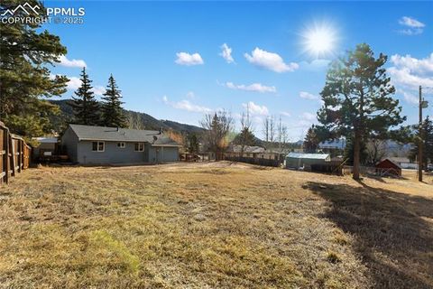Tiny photo for 410 N Baldwin Street, Woodland Park, CO 80863 (MLS # 6357394)