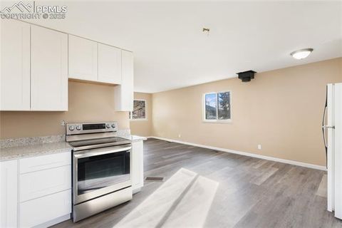 Tiny photo for 410 N Baldwin Street, Woodland Park, CO 80863 (MLS # 6357394)