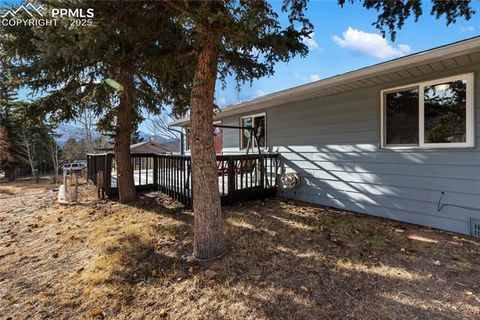 Tiny photo for 410 N Baldwin Street, Woodland Park, CO 80863 (MLS # 6357394)