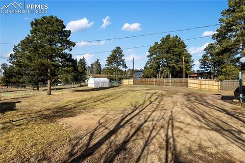 Tiny photo for 410 N Baldwin Street, Woodland Park, CO 80863 (MLS # 6357394)