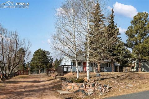 Tiny photo for 410 N Baldwin Street, Woodland Park, CO 80863 (MLS # 6357394)