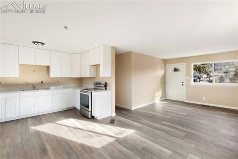 Tiny photo for 410 N Baldwin Street, Woodland Park, CO 80863 (MLS # 6357394)