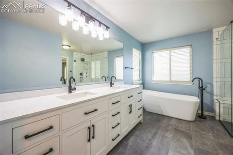 Tiny photo for 2462 Baystone Court, Colorado Springs, CO 80921 (MLS # 9114431)
