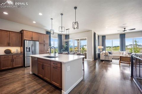 Tiny photo for 9996 Antelope Ravine Drive, Colorado Springs, CO 80908 (MLS # 3068443)