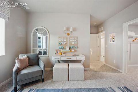 Tiny photo for 9996 Antelope Ravine Drive, Colorado Springs, CO 80908 (MLS # 3068443)