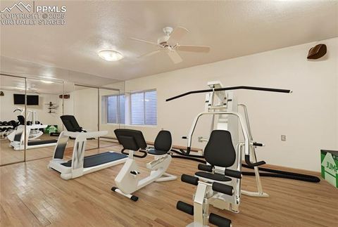 Tiny photo for 3572 White Bear Point, Colorado Springs, CO 80921 (MLS # 7702759)