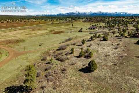 Photo of 1234 Scenic Avenue, Pagosa Springs, CO 81147 (MLS # 4439203)