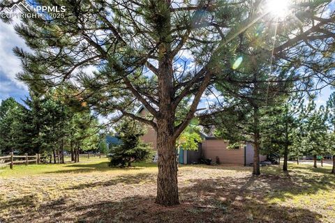 Tiny photo for 220 Crestwood Drive, Woodland Park, CO 80863 (MLS # 6547332)