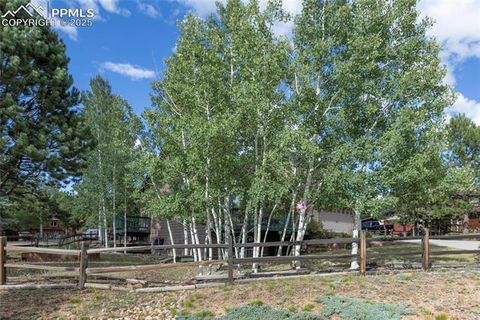 Tiny photo for 220 Crestwood Drive, Woodland Park, CO 80863 (MLS # 6547332)