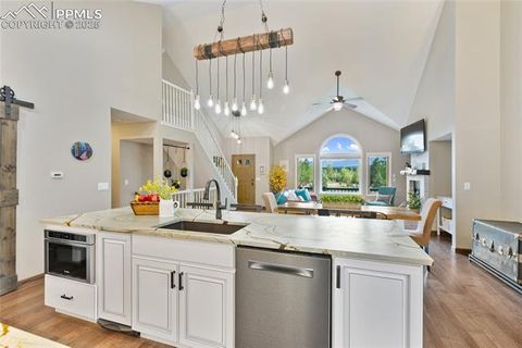 Tiny photo for 220 Crestwood Drive, Woodland Park, CO 80863 (MLS # 6547332)