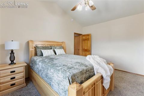Tiny photo for 220 Crestwood Drive, Woodland Park, CO 80863 (MLS # 6547332)