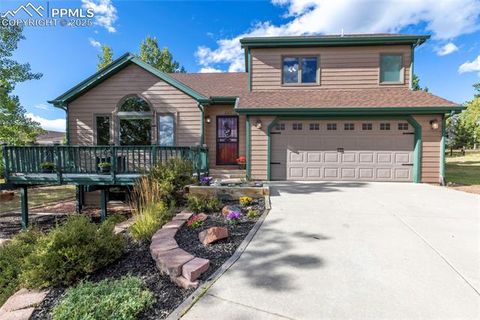 Photo of 220 Crestwood Drive, Woodland Park, CO 80863 (MLS # 6547332)