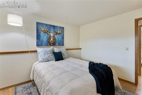 Tiny photo for 220 Crestwood Drive, Woodland Park, CO 80863 (MLS # 6547332)