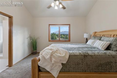 Tiny photo for 220 Crestwood Drive, Woodland Park, CO 80863 (MLS # 6547332)