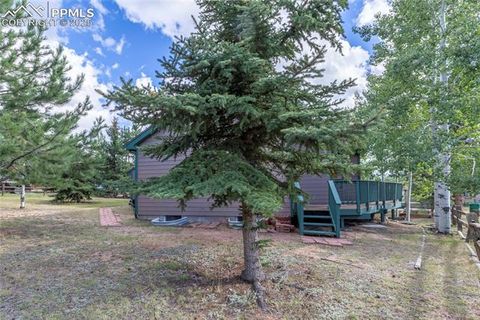 Tiny photo for 220 Crestwood Drive, Woodland Park, CO 80863 (MLS # 6547332)