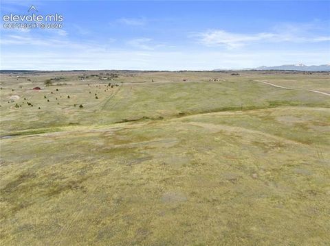 Photo of 18655 Brown Road, Colorado Springs, CO 80908 (MLS # 8216676)
