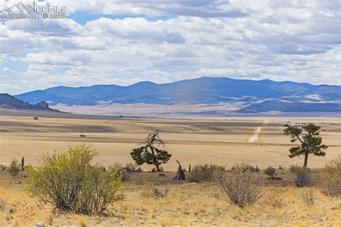Photo of 1685 Montezuma Road, Lake George, CO 80827 (MLS # 1086731)