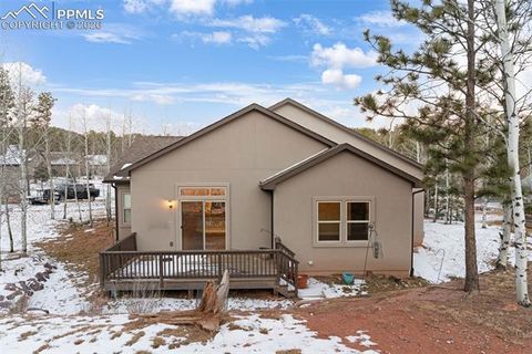Tiny photo for 1157 Ptarmigan Drive, Woodland Park, CO 80863 (MLS # 4492488)