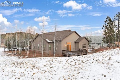 Tiny photo for 1157 Ptarmigan Drive, Woodland Park, CO 80863 (MLS # 4492488)