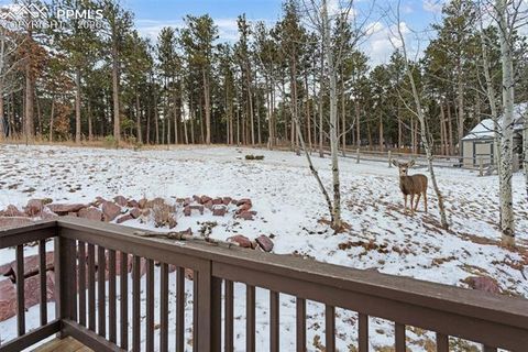 Tiny photo for 1157 Ptarmigan Drive, Woodland Park, CO 80863 (MLS # 4492488)