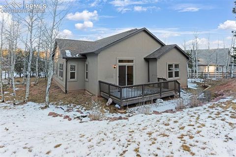 Tiny photo for 1157 Ptarmigan Drive, Woodland Park, CO 80863 (MLS # 4492488)
