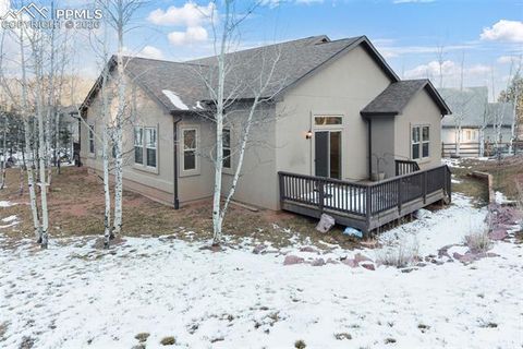Tiny photo for 1157 Ptarmigan Drive, Woodland Park, CO 80863 (MLS # 4492488)