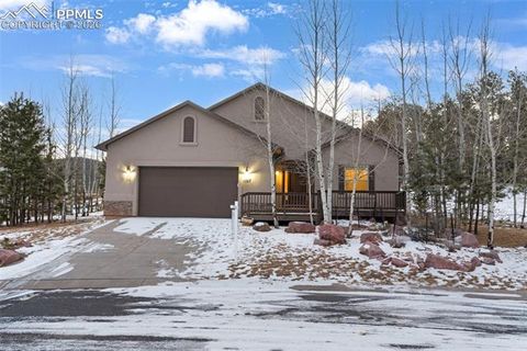 Photo of 1157 Ptarmigan Drive, Woodland Park, CO 80863 (MLS # 4492488)