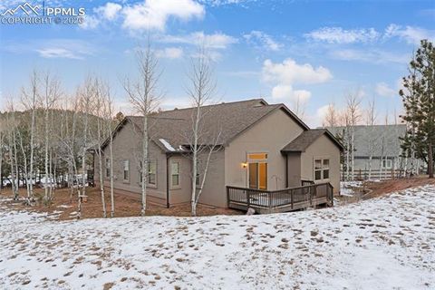 Tiny photo for 1157 Ptarmigan Drive, Woodland Park, CO 80863 (MLS # 4492488)