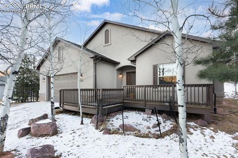 Tiny photo for 1157 Ptarmigan Drive, Woodland Park, CO 80863 (MLS # 4492488)