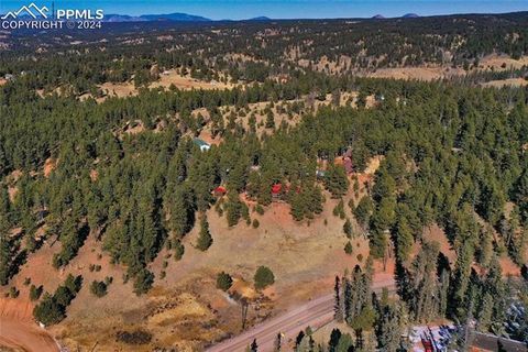 Photo of 683 Kingston Drive, Florissant, CO 80816 (MLS # 6748843)
