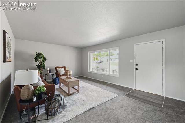 308 Steven Drive