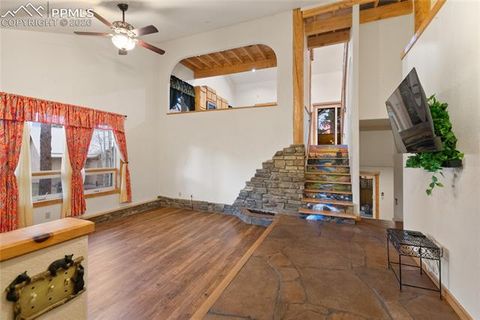 Tiny photo for 311 Panther Court, Woodland Park, CO 80863 (MLS # 8210440)