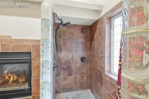 Tiny photo for 311 Panther Court, Woodland Park, CO 80863 (MLS # 8210440)