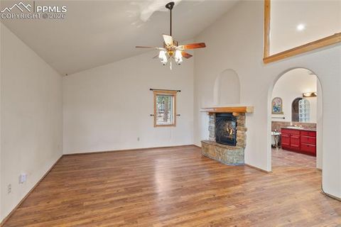 Tiny photo for 311 Panther Court, Woodland Park, CO 80863 (MLS # 8210440)