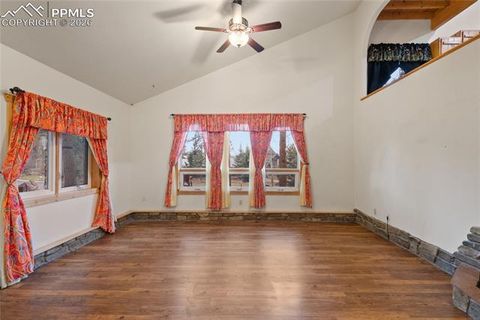 Tiny photo for 311 Panther Court, Woodland Park, CO 80863 (MLS # 8210440)