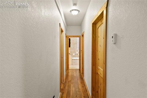 Tiny photo for 311 Panther Court, Woodland Park, CO 80863 (MLS # 8210440)