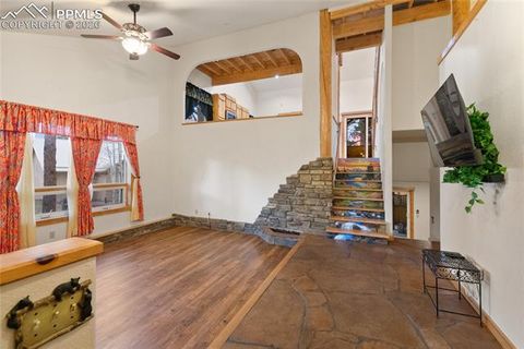 Tiny photo for 311 Panther Court, Woodland Park, CO 80863 (MLS # 8210440)
