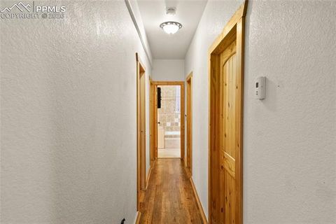 Tiny photo for 311 Panther Court, Woodland Park, CO 80863 (MLS # 8210440)