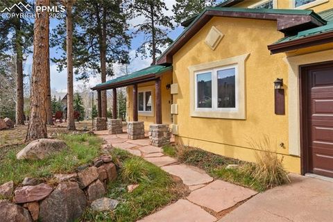 Tiny photo for 311 Panther Court, Woodland Park, CO 80863 (MLS # 8210440)