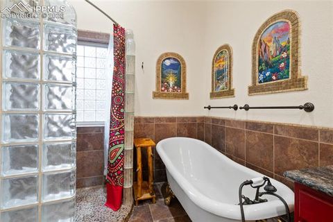 Tiny photo for 311 Panther Court, Woodland Park, CO 80863 (MLS # 8210440)