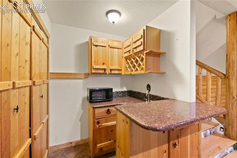 Tiny photo for 311 Panther Court, Woodland Park, CO 80863 (MLS # 8210440)