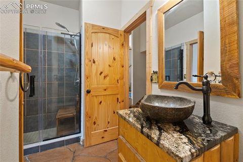 Tiny photo for 311 Panther Court, Woodland Park, CO 80863 (MLS # 8210440)