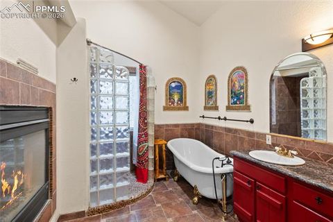 Tiny photo for 311 Panther Court, Woodland Park, CO 80863 (MLS # 8210440)