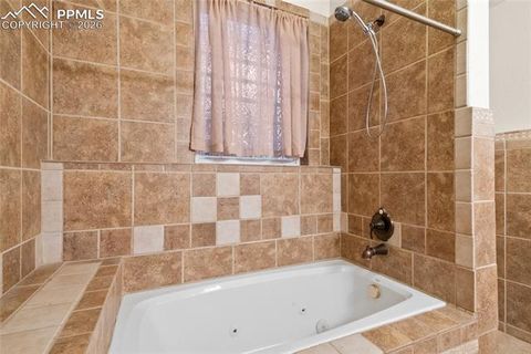 Tiny photo for 311 Panther Court, Woodland Park, CO 80863 (MLS # 8210440)