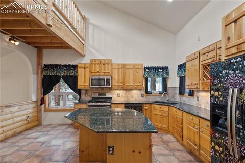Tiny photo for 311 Panther Court, Woodland Park, CO 80863 (MLS # 8210440)
