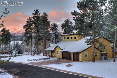 Tiny photo for 311 Panther Court, Woodland Park, CO 80863 (MLS # 8210440)