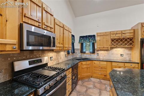 Tiny photo for 311 Panther Court, Woodland Park, CO 80863 (MLS # 8210440)