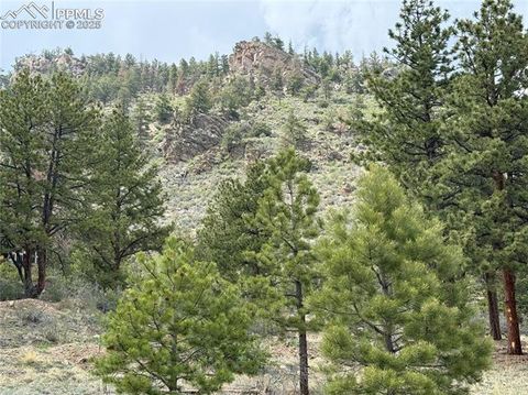 Photo of 202 County Road, Lake George, CO 80827 (MLS # 6590409) Photo of 202 County Road, Lake George, CO 80827 (MLS # 6590409)