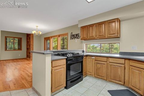 Tiny photo for 991 Kings Crown Road, Woodland Park, CO 80863 (MLS # 2252858)