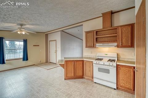 Tiny photo for 115 W Eaton Avenue, Cripple Creek, CO 80813 (MLS # 1373343)